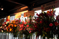 09.12.20 Shibuya BOXX